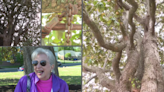 Family reveals secrets about 'Meemaw's Tree,' 170-year-old Southern Magnolia, at Virginia State University