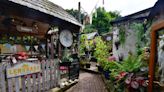 'Magical' tea garden tucked away near beautiful country park