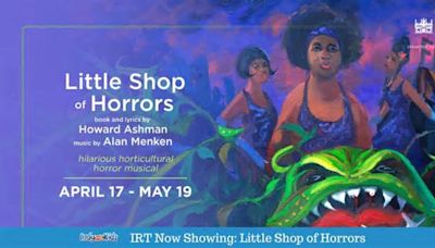 IRT Now Showing: Little Shop of Horrors