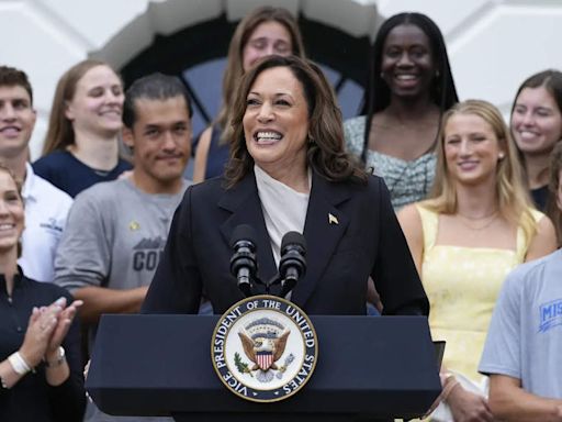 Kamala Harris has support of enough Democratic delegates to become party's presidential nominee: AP survey - The Economic Times