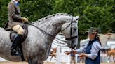 ‘It’s our Oscars week’: Horse trading and reminiscing as industry gathers for Dublin Horse Show’s biggest day