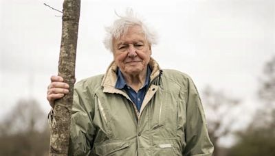 Why is David Attenborough being 'replaced' on new Planet Earth episode?