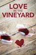 Love in the Vineyard