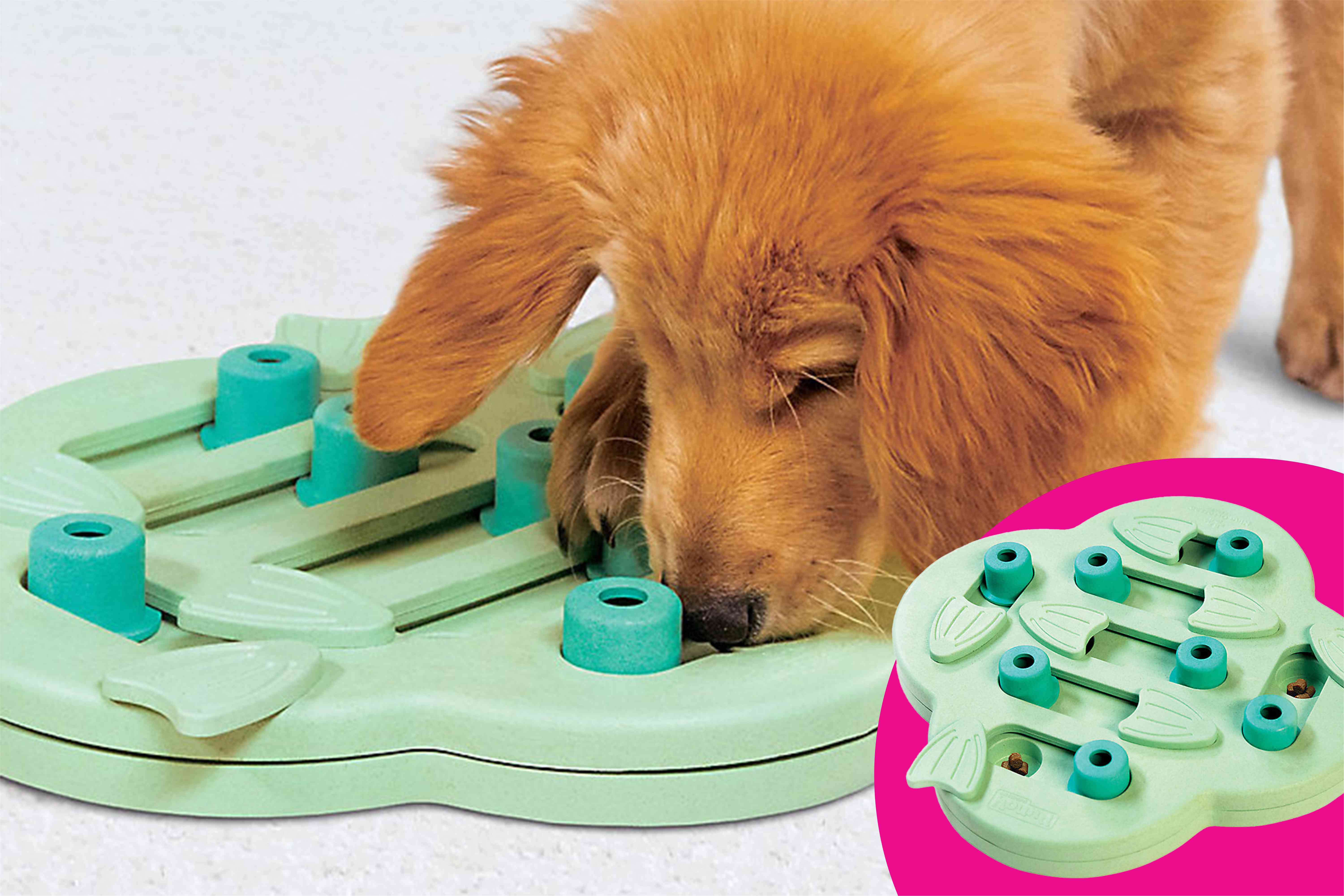 I’m a Dog Parent, and I’m Eyeing These 15 Memorial Day Deals at PetSmart — Cooling Mats, Chew Toys, and More