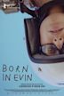 Born in Evin