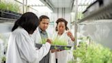 Pioneering plant science research paves the way for deeper understanding of how the plant immune system functions