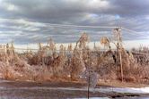 January 1998 North American ice storm