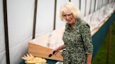 ‘That pie looks just like my husband’: Queen Camilla enjoys light-hearted moment at Sandringham Flower Show