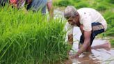 Missing Punjab farmer’s body found in canal; family says he was upset over inadequate rain