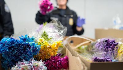 ¡No sólo drogas!, prohíben la entrada a Estados Unidos desde México a estas flores para el Día de las Madres