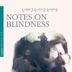 Notes on Blindness