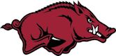 Arkansas Razorbacks softball