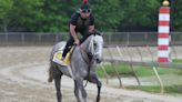 Preakness Stakes 2024: Seize The Grey wins in Baltimore, ending Mystik Dan's Triple Crown hopes