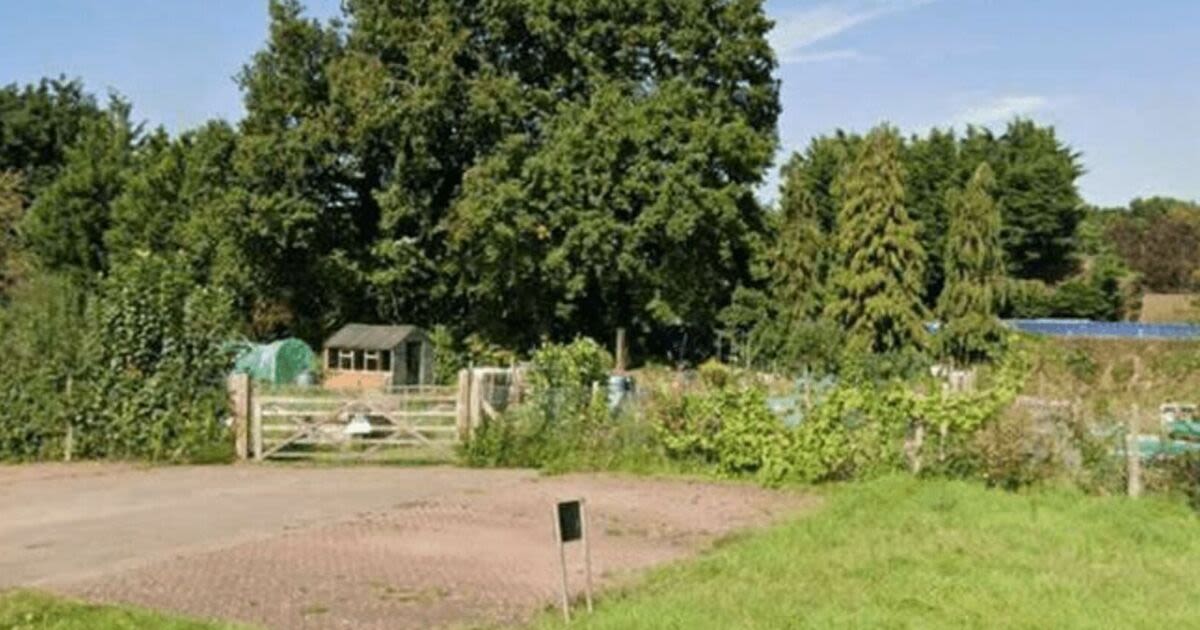 Pensioner dies after challenging 'intruders' at allotments