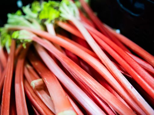 Cornell researchers bet that rhubarb is the next ‘big thing’ in craft beverages