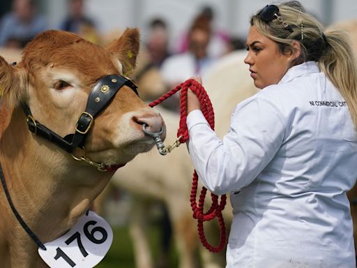 Balmoral Show 2024: What you need to know