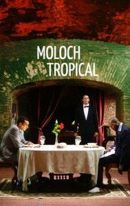 Moloch Tropical