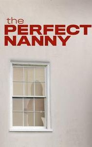 The Perfect Nanny