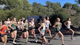 Check out the winners, top finishers in Citrus Coast and TCAA cross country finals