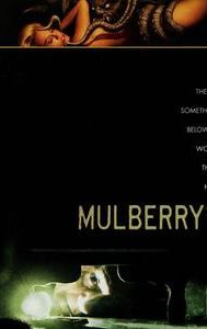 Mulberry Street (film)
