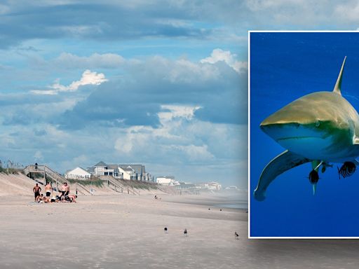 Shark bites teenager's leg in attack at North Carolina beach