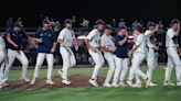 College baseball: Catawba back on top in the SAC - Salisbury Post