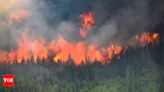 Devastating wildfires ravage Jasper, Alberta: Mass evacuations and international firefighting efforts - Times of India