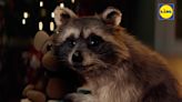Lidl Christmas advert stars raccoon on mission to bring festive joy