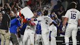 Hoerner hits game-ending single in 10th inning as the Cubs beat the Braves 4-3 | Chattanooga Times Free Press