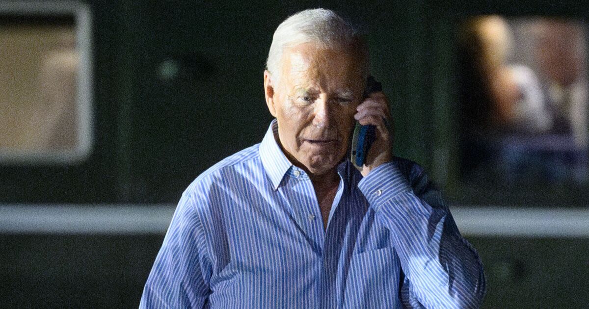 White House insider breaks silence on Biden after claims he 'just has a cold'