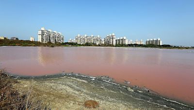 Still at 3-year low, Mumbai’s lake water level rising slowly; 10% supply cut likely to stay for now
