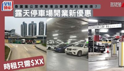 香園圍公眾停車場泊車要預約嫌麻煩？ 露天停車場開業新優惠 時租只需$XX