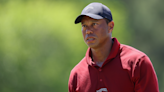 Tiger will be lone player negotiating with Saudi PIF