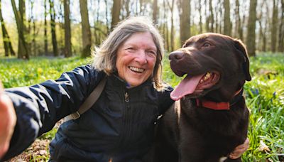 Dogs work together to save elderly woman with dementia who went missing in Utah mountains