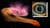 Churning spacetime and destroyed stars help reveal how fast supermassive black holes spin