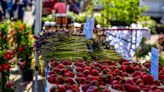 Holland Farmers Market returns to Civic Center