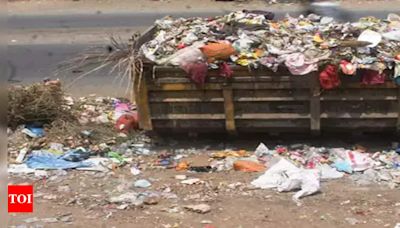 Don't want cos picking up waste in Gurgaon to sort our trash, say Manesar residents | Gurgaon News - Times of India