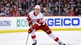 Detroit Red Wings call up defenseman Simon Edvinsson for second stint of season