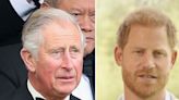 King Charles Won't Be Able to See Prince Harry During U.K. Trip