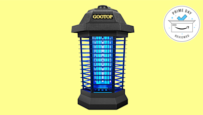 Ditch the fly swatter—get this bug zapper for $27 off before Prime Day ends