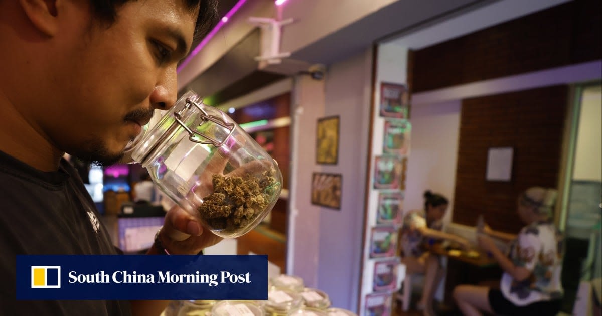 Thailand’s blunt reversal on legal weed leaves local entrepreneurs at a loss