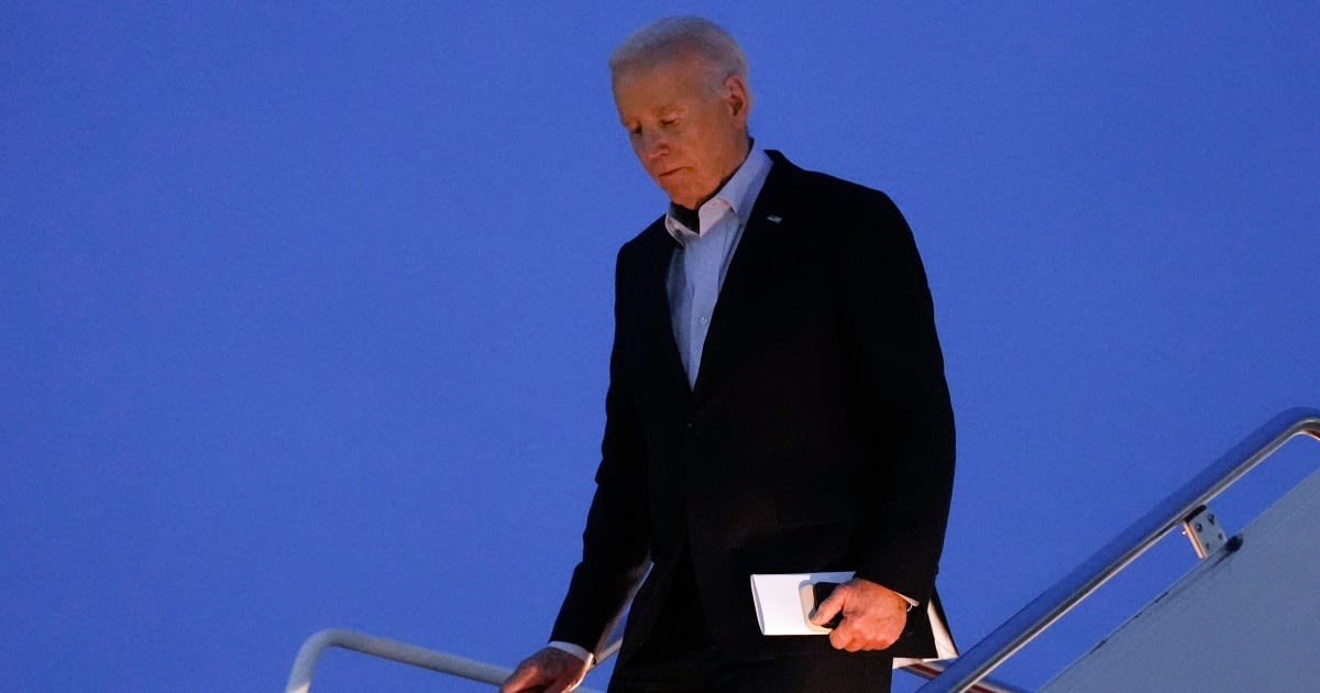 Japan and India reject Biden's description of them as xenophobic