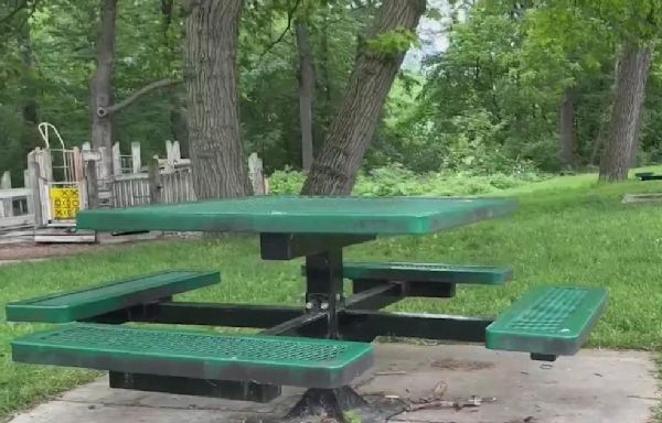 Ann Arbor moves forward with $19 million plan to make parks more accessible