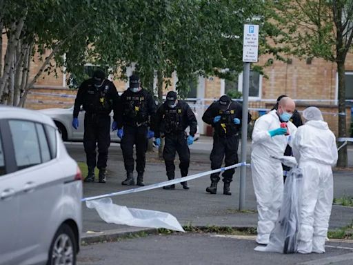 Police issue update after 'gang of boys with big machetes' launch vicious attack