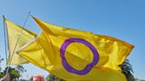 What are the colors of the Intersex Pride Flag? The Intersex-Inclusive Progress Pride Flag?