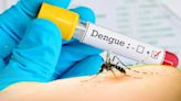 Boletim confirma mais seis mortes por dengue em municípios da região | TNOnline