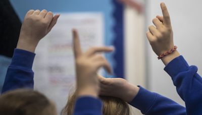 Devon scheme for additional needs pupils extended