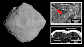 Messenger comets might be why Earth has life, asteroid Ryugu samples suggest