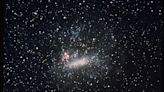 Does the Milky Way Have Too Many Satellite Galaxies?