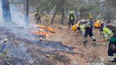 La campaña de incendios forestales se presenta "compleja" en la provincia de Ciudad Real